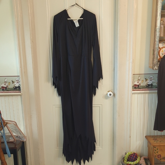 California Costumes Living Dead Costume. Dress, Cape, And Wig. Worn Once. - Picture 1 of 12